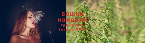 мяу мяу мука Шали