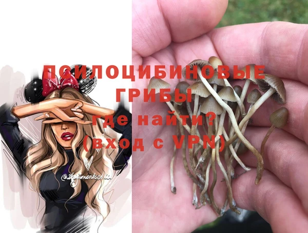 Альфа ПВП Чегем