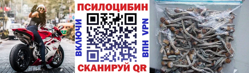 Купить  Слюдянка  Галлюциногенные грибы Cubensis 